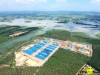 trang trại heo nuôi heo nái rộng lớn với quy mô chuồng trại gần 14.000 m2, được xây dựng sát bên hồ Trị An. Đây là vị trí nằm ngay trên đầu nguồn cấp nước của Đồng Nai và TP.HCM