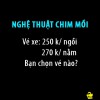 Nghệ thuật chim mồi