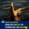 nguyen tac lanh dao   dung gui vit toi truong cua dai bang