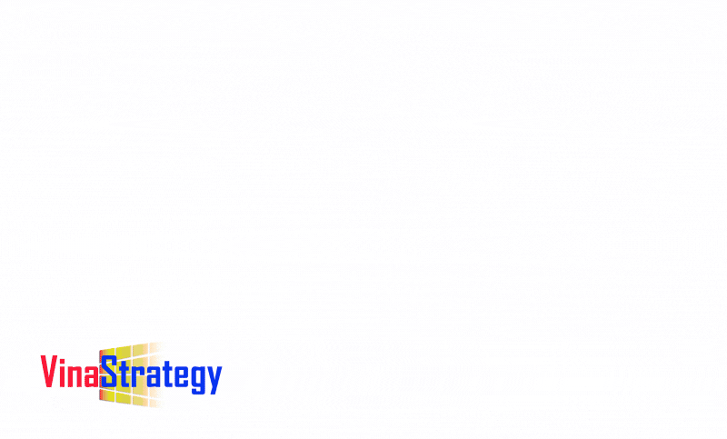 Vinastrategy.com