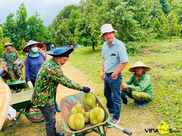 " SOI TÚI TIỀN " của ông chủ nông trại sầu riêng lớn nhất Đông Nam Á sẽ như thế nào ?