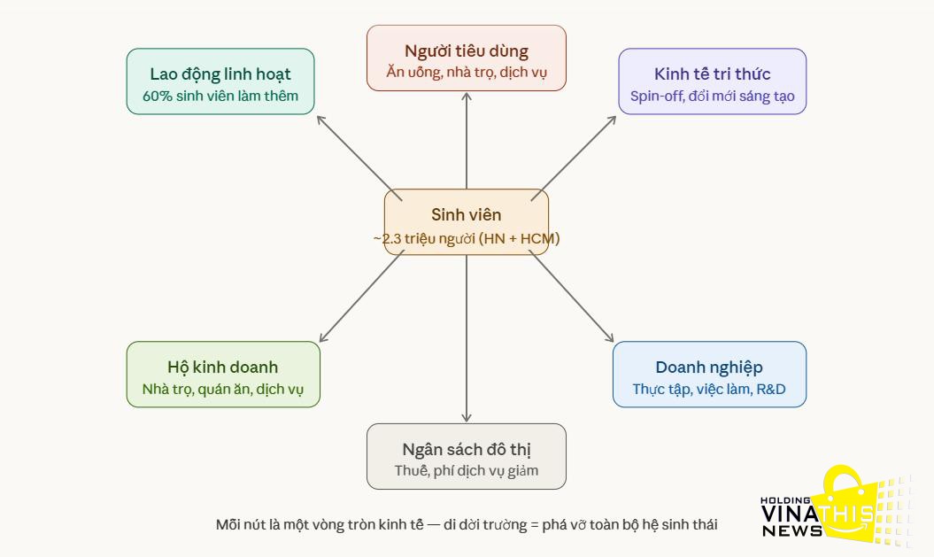 Mỗi nút là một vòng tròn kinh tế — di dời trường = phá vỡ toàn bộ hệ sinh thái